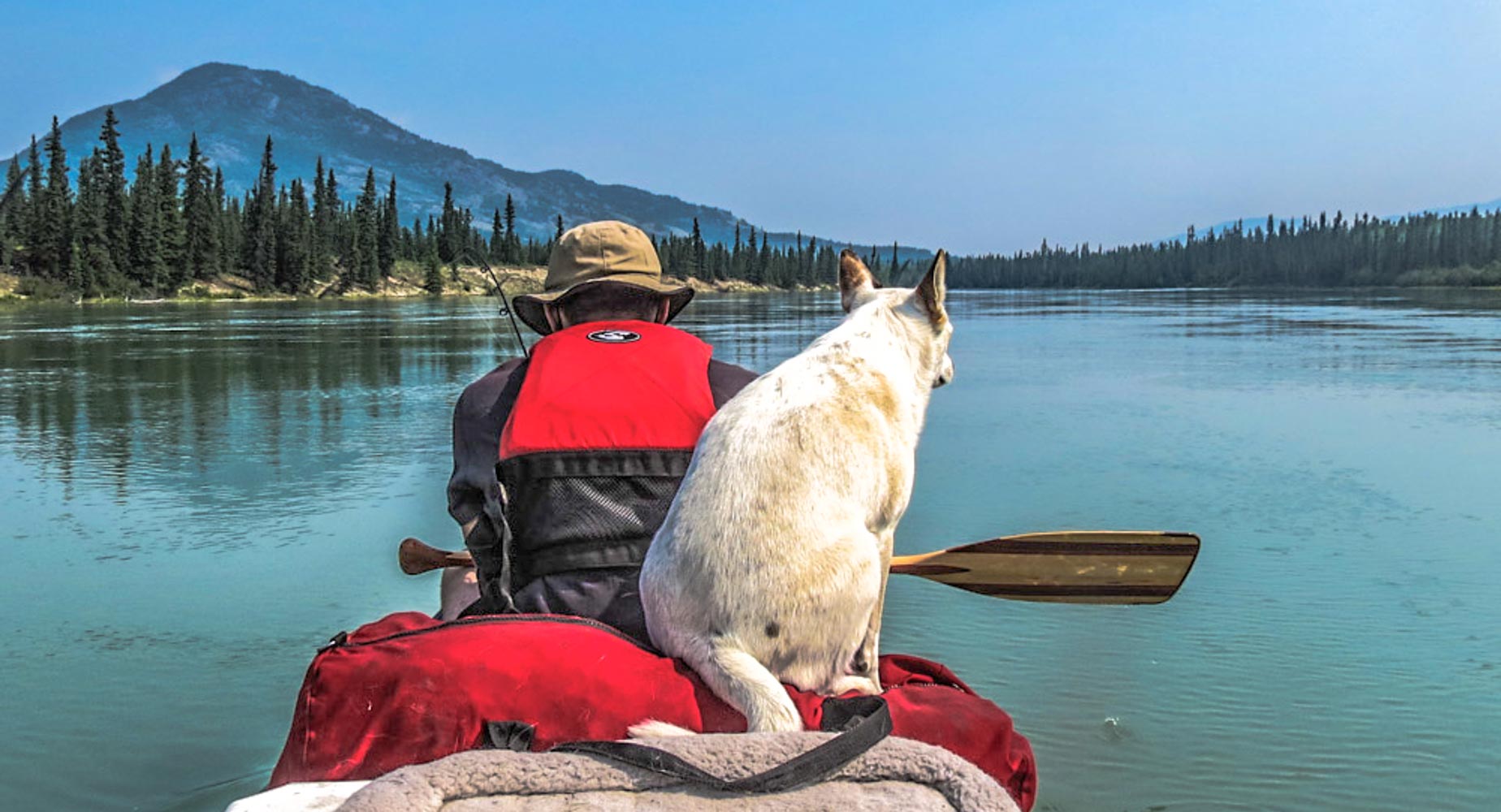 dog and person in canoe on water