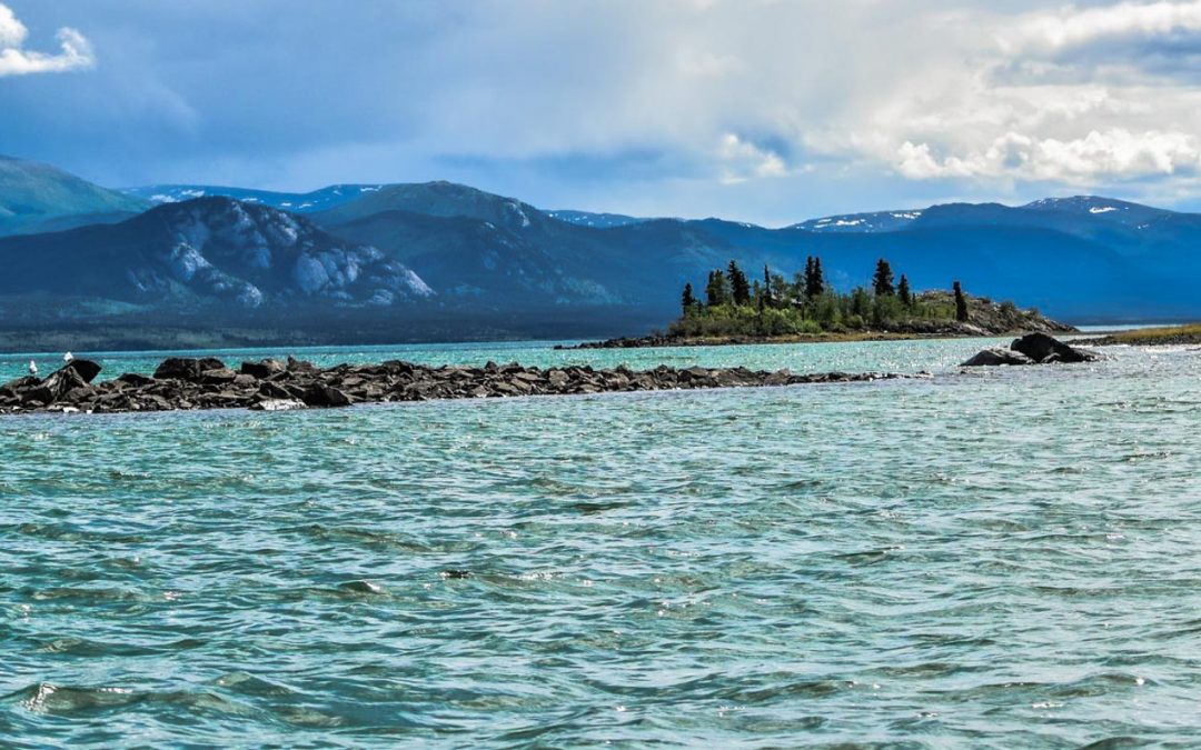 2023 Yukon River Trip – 30 mile River to Carmacks