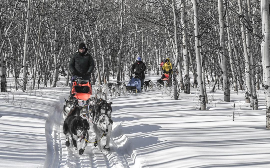 2023 Yukon Dog Sledding – Winter Camping