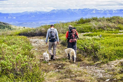 guided hiking in the Yukon