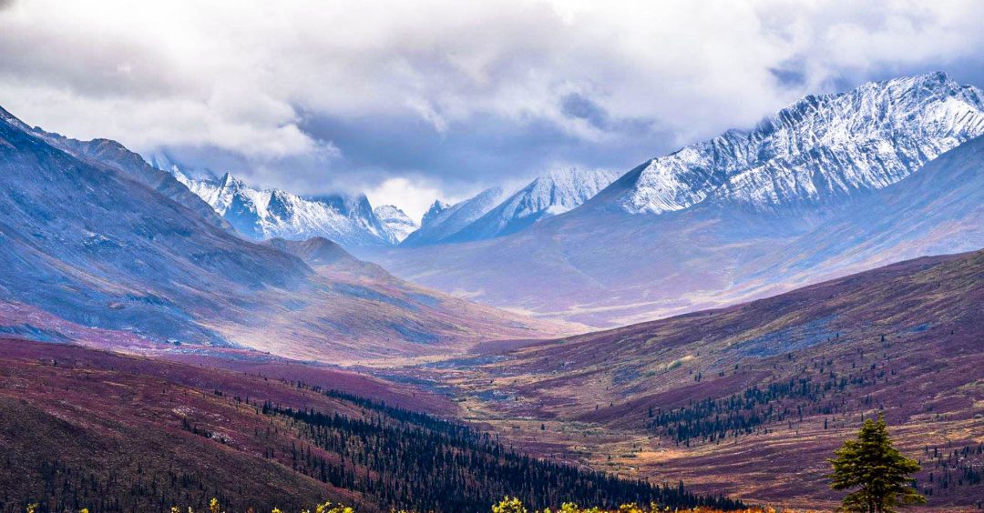 Tombstone – Dawson City