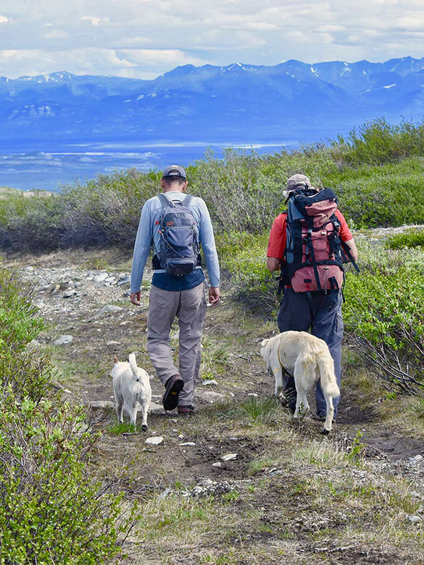 Guided Yukon Hiking Trips