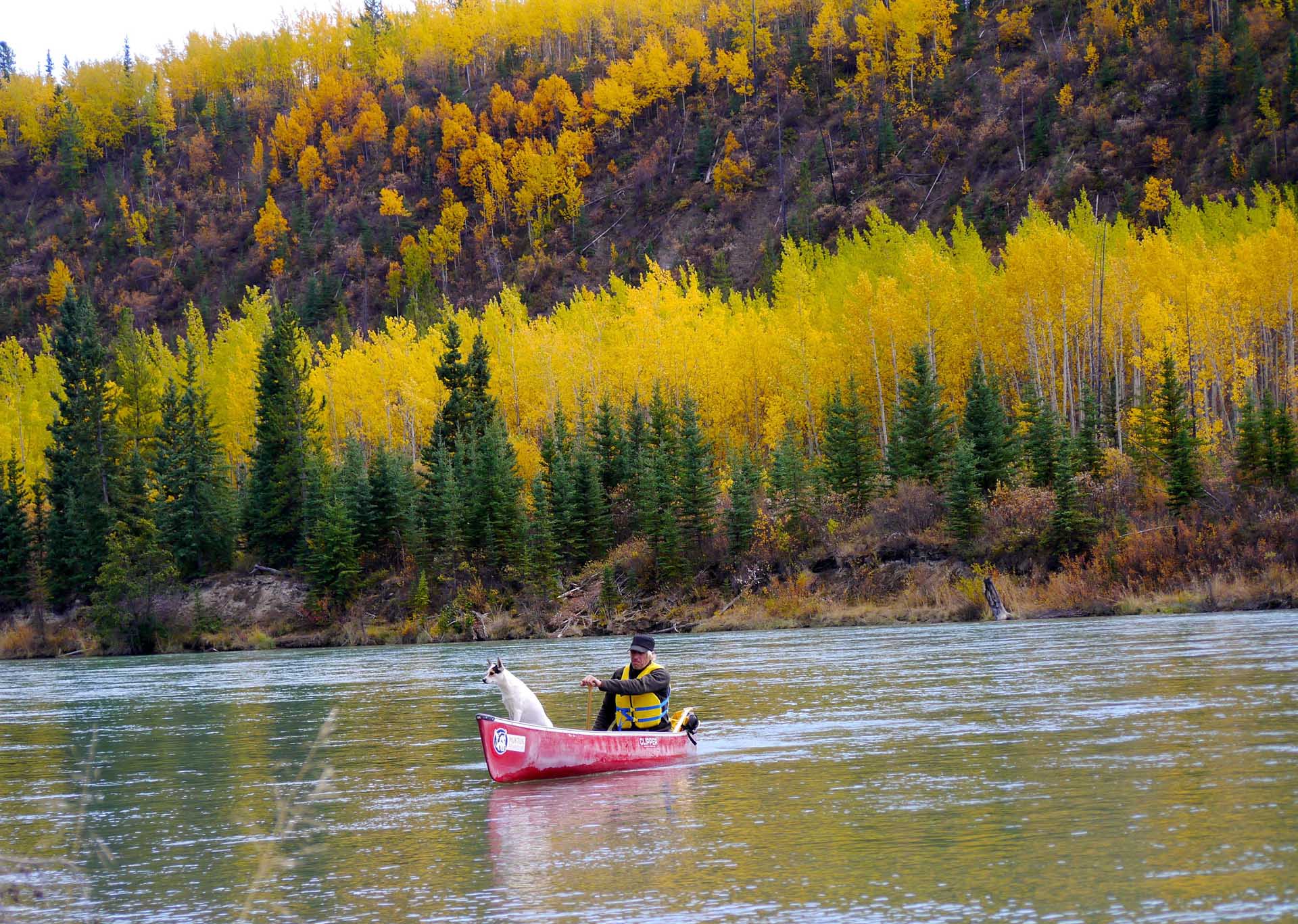 Man and his dog riding a pink canoe along a river