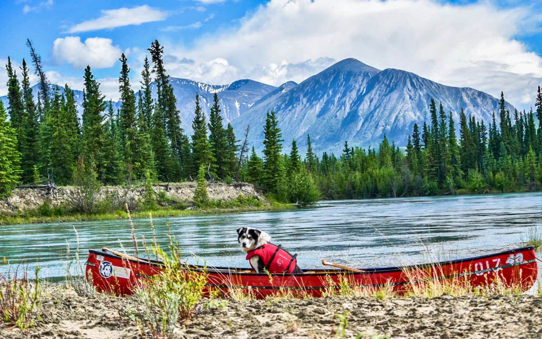 Takhini River Trip