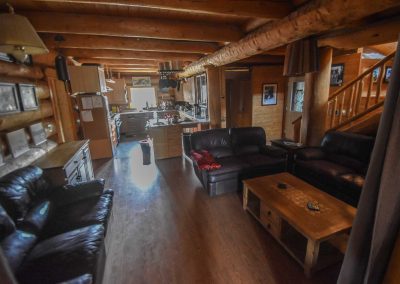 cabin living room and kitchen