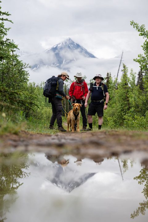 Group of people hiking with dog hiking in Kluane National park