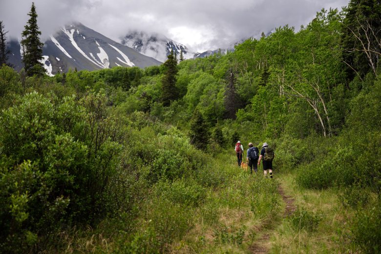 Hiking in Kluane National Park